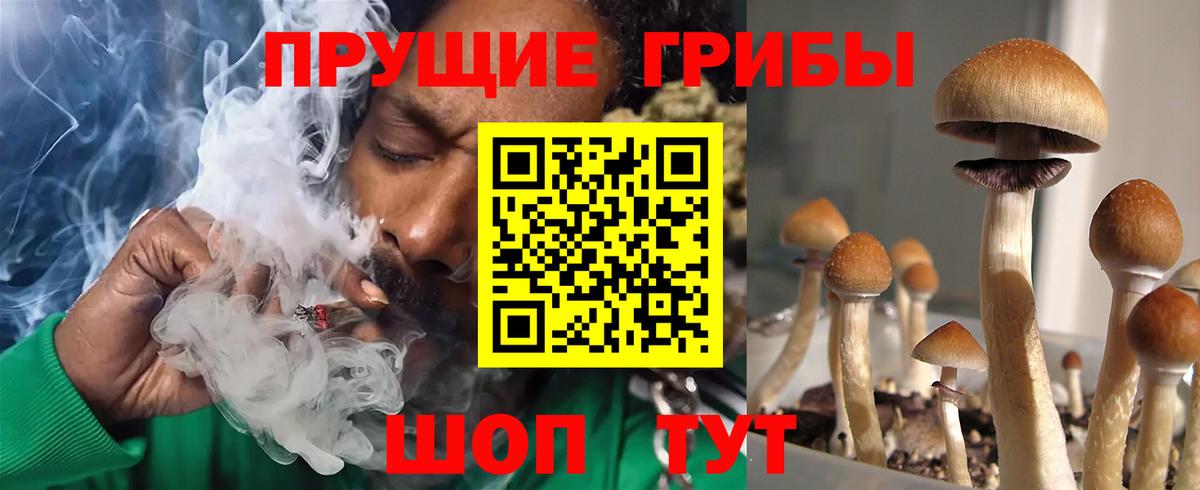 Галлюциногенные грибы MAGIC MUSHROOMS Ишимбай